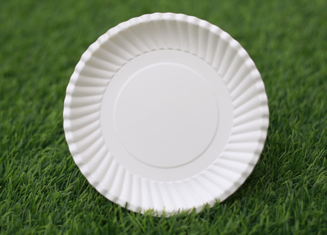 The United States Issues Preliminary Conclusions on Anti-Dumping Investigation of Paper Plates Imported from Vietnam