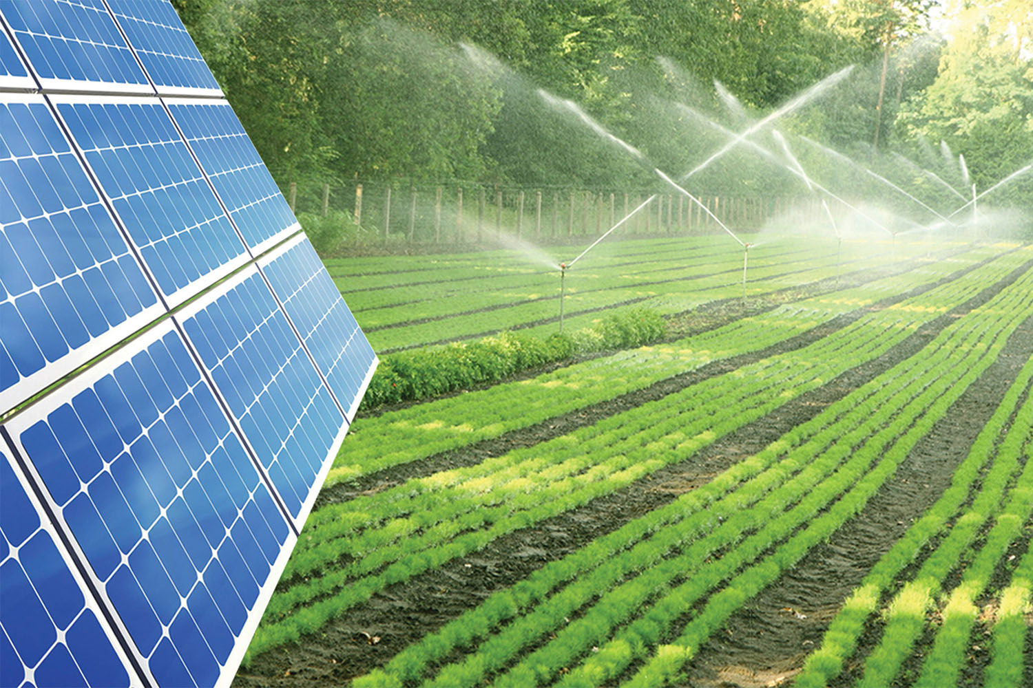 Update on some deadlines in the US antidumping and countervailing duty investigation of solar panels imported from Vietnam